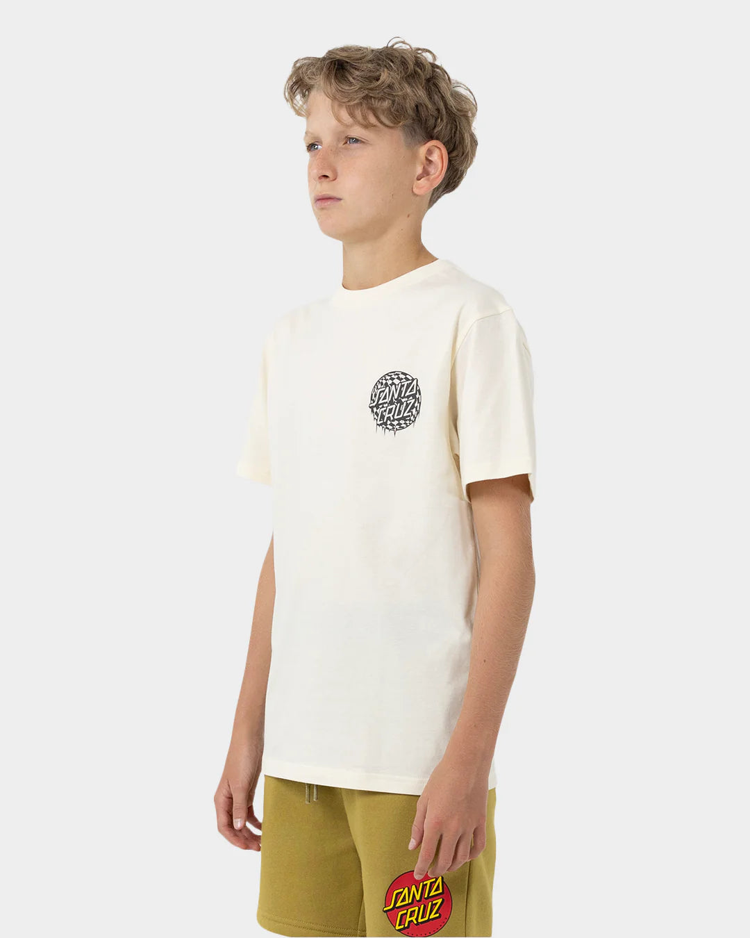 Santa Cruz Check waste dot mono reflect short sleeve regular fit tee