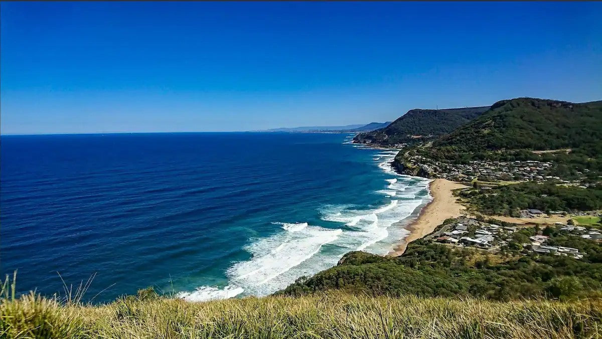 Essential Surf & Skate ( Helensburgh )