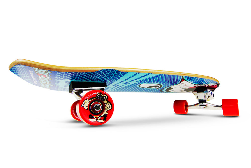30" Baracuda - essentialsurf