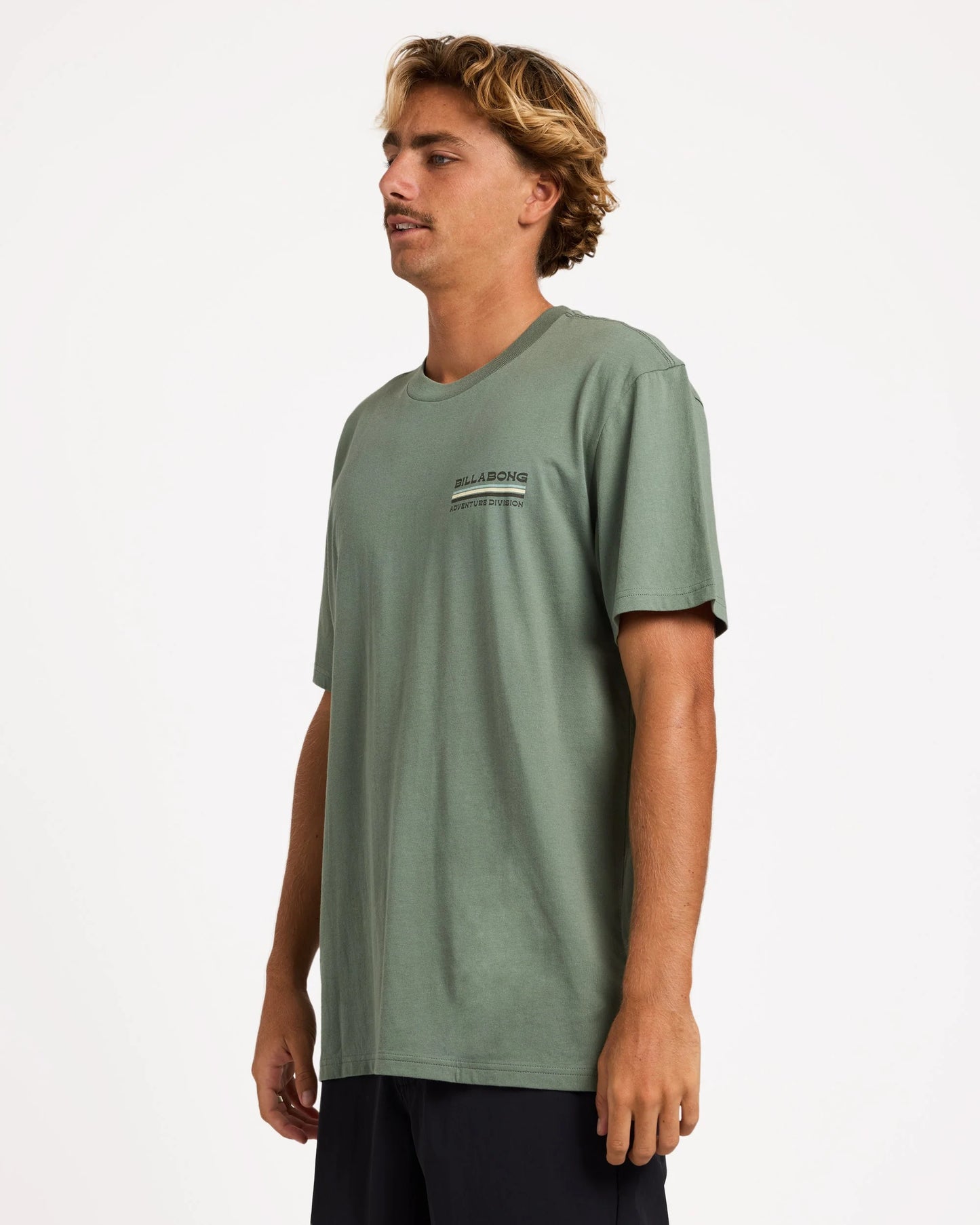 Billabong Mens State Park A/Div Premium T-Shirt