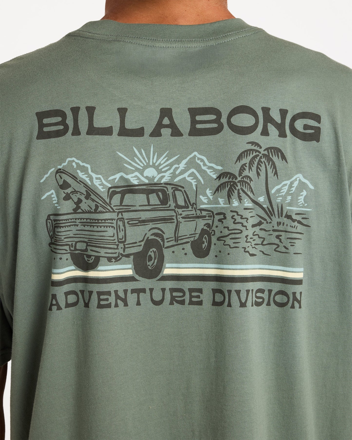 Billabong Mens State Park A/Div Premium T-Shirt