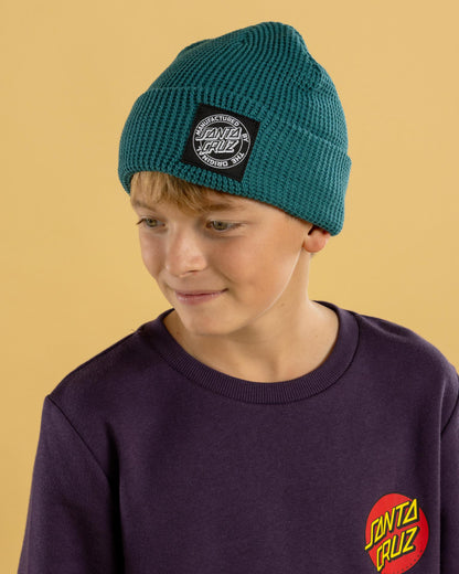 Santa Cruz MFG Dot Boys Beanie Ocean