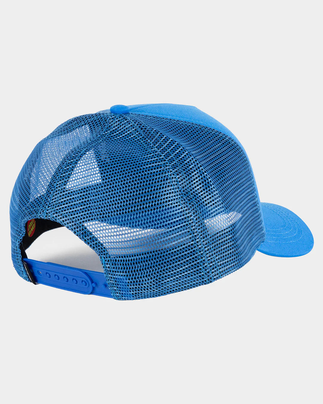 Santa Cruz Flame Ringed Dot Boys Trucker Cap Blue