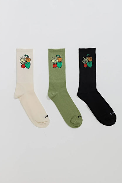 Misfit Wonder Fruit Sock 3 pack